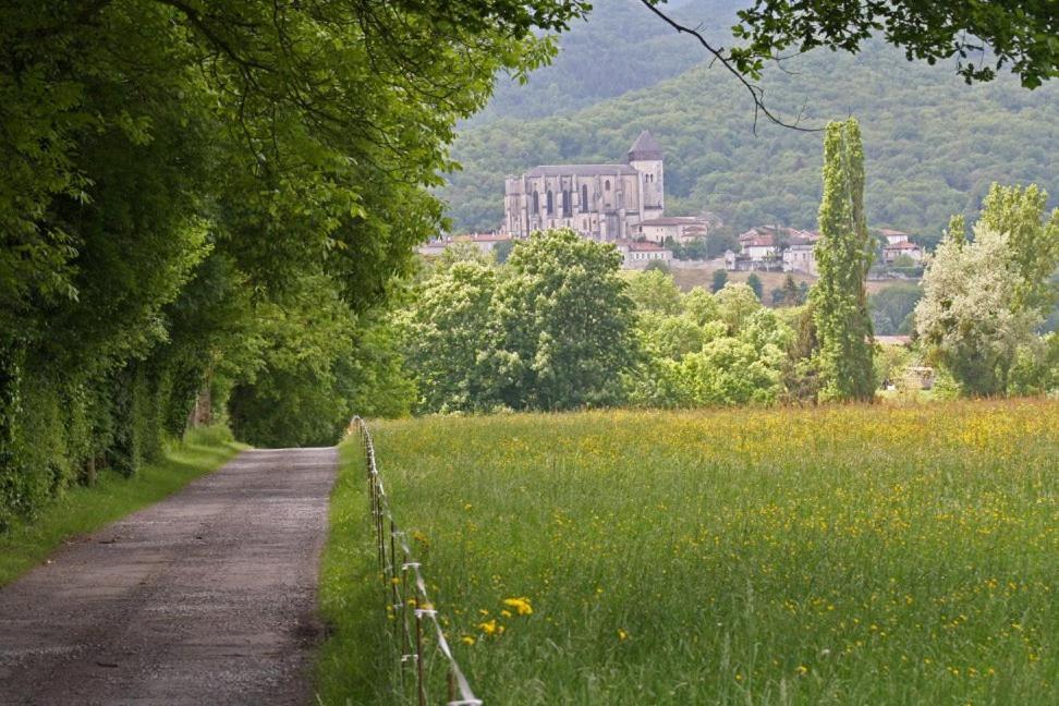 Chateau De Vidaussan Labroquere Buitenkant foto